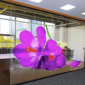 Glas Displayfolie transparent
