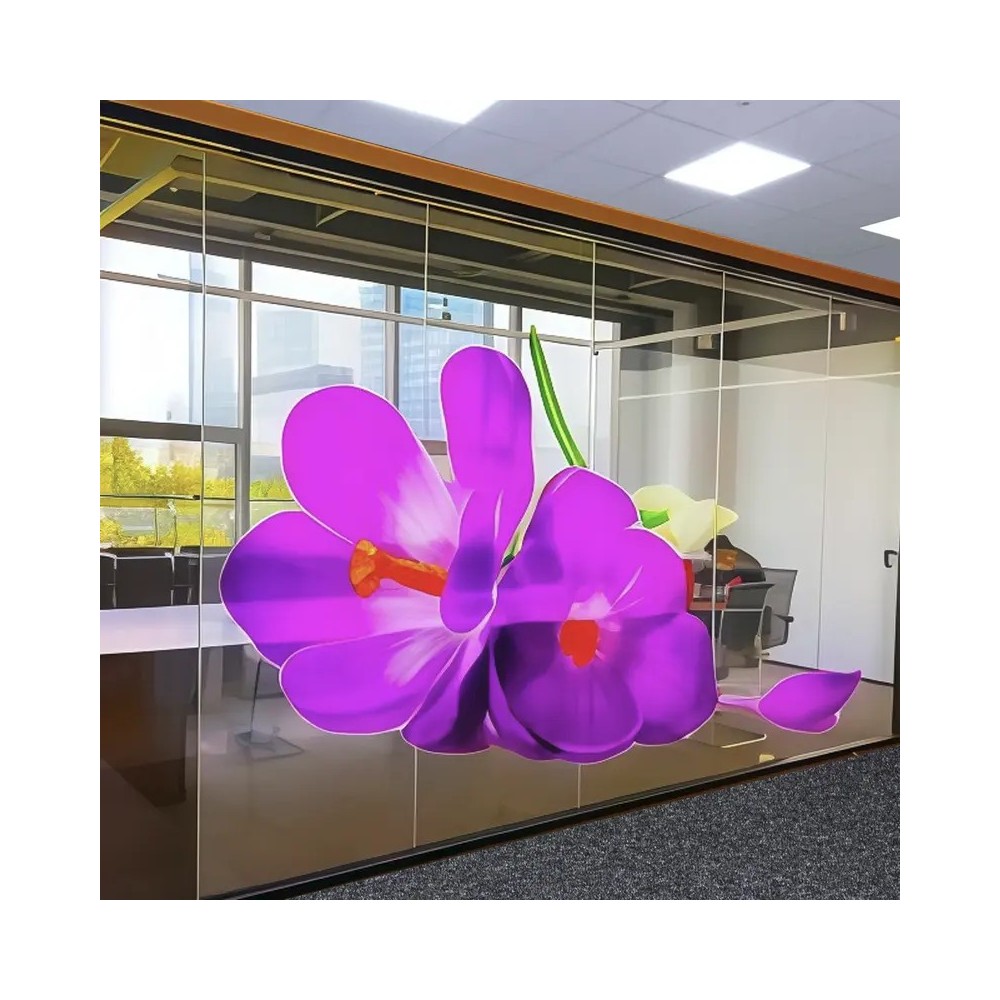 Glas Displayfolie transparent