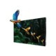 Videowall COB LED P0.78